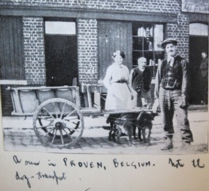 "A view in Proven, Belgium. Note the dog transport."