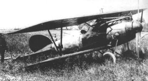 An Albatros D.V similar to the one flown by Ulmer